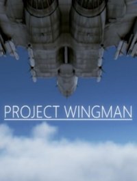 Project Wingman Poster